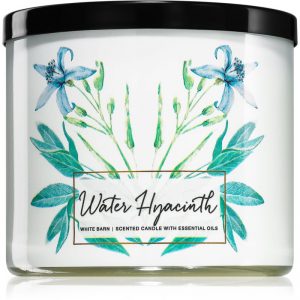 Bath & Body Works Water Hyacinth świeczka zapachowa 411 g