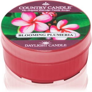 Country Candle Blooming Plumeria świeczka typu tealight 42 g