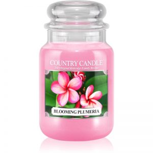 Country Candle Blooming Plumeria świeczka zapachowa 652 g