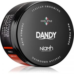 DANDY Shaping Pomade pomada modelująca do włosów 100 ml