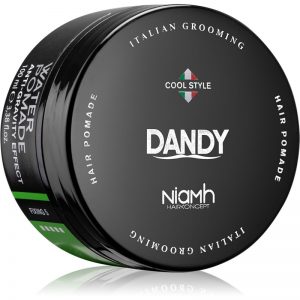 DANDY Water Pomade Anti-Gravity Effect pomada do włosów z silnym utrwaleniem 100 ml