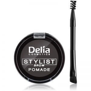 Delia Cosmetics Eyebrow Expert pomada do brwi odcień Graphite