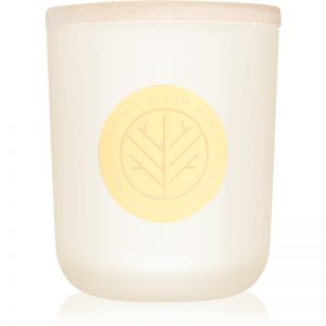 DW Home Vanilla & Raw Honey świeczka zapachowa z drewnianym knotem 320,49 g