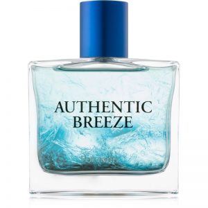 Jeanne Arthes Authentic Breeze woda toaletowa dla mężczyzn 100 ml