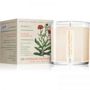 KOBO Plant The Box Catalan Calendula świeczka zapachowa 283 g