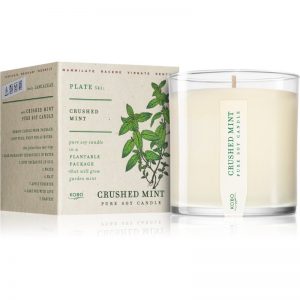 KOBO Plant The Box Crushed Mint świeczka zapachowa 283 g