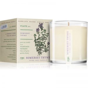 KOBO Plant The Box Somerset Thyme świeczka zapachowa 283 g