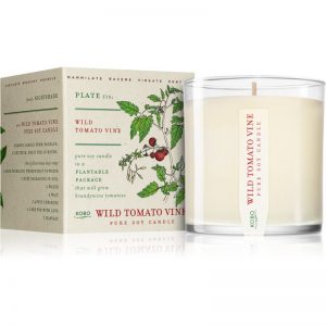 KOBO Plant The Box Wild Tomato Vine świeczka zapachowa 283 g