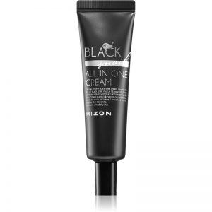 Mizon Black Snail All in One krem do twarzy z ekstraktem ze śluzu z ślimaka 90% 35 ml