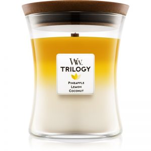 Woodwick Trilogy Fruits of Summer świeczka zapachowa średnia 275 g