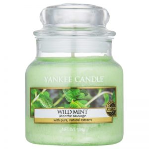 Yankee Candle Wild Mint świeczka zapachowa Classic mała 104 g