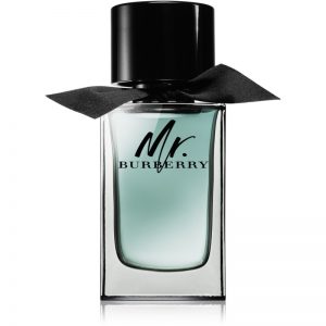 Burberry Mr. Burberry woda toaletowa dla mężczyzn 100 ml