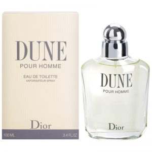 Dior Dune pour Homme woda toaletowa dla mężczyzn 100 ml