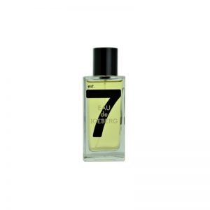 Iceberg Eau de Iceberg 74 Pour Homme woda toaletowa dla mężczyzn 100 ml