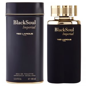 Ted Lapidus Black Soul Imperial woda toaletowa dla mężczyzn 100 ml