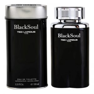 Ted Lapidus Black Soul woda toaletowa dla mężczyzn 100 ml