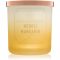 DW Home Neroli Mandarin świeczka zapachowa 255,85 g