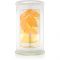 Kringle Candle Clearwater Creek świeczka zapachowa 624 g