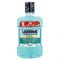 Listerine Teeth & Gum Defence płyn do płukania jamy ustnej przeciw płytce nazębnej i dla zdrowych dziąseł smak Fresh Mint 1000 ml