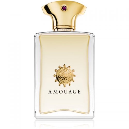 Amouage Beloved Men woda perfumowana dla mężczyzn 100 ml