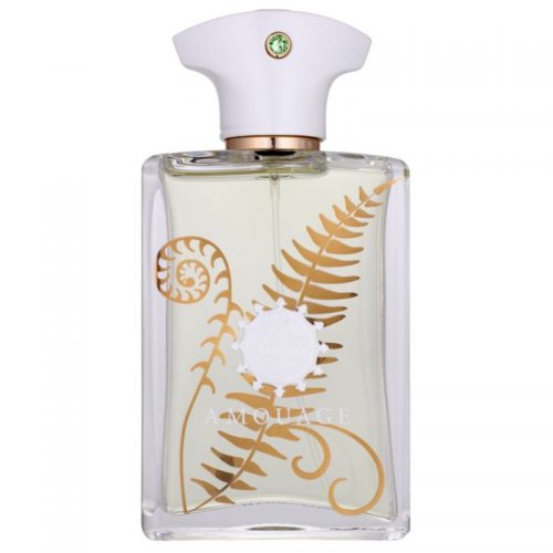 Amouage Bracken woda perfumowana dla mężczyzn 100 ml