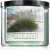 Bath & Body Works Beach Grass świeczka zapachowa 411 g