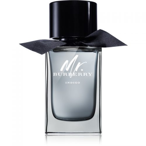 Burberry Mr. Burberry Indigo woda toaletowa dla mężczyzn 100 ml