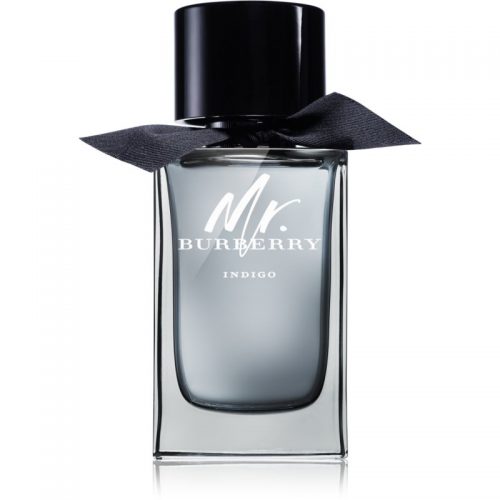 Burberry Mr. Burberry Indigo woda toaletowa dla mężczyzn 150 ml