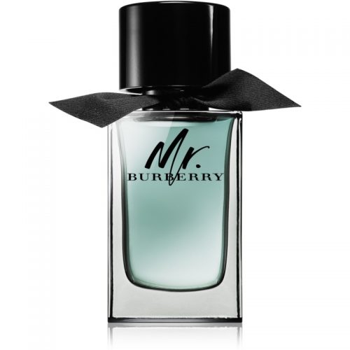 Burberry Mr. Burberry woda toaletowa dla mężczyzn 100 ml