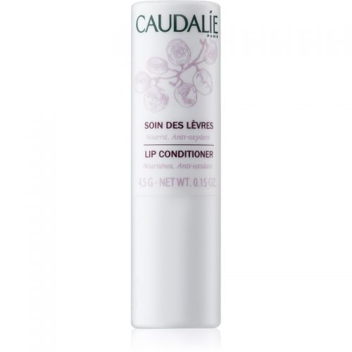 Caudalie Moisturizers balsam do ust 4 g