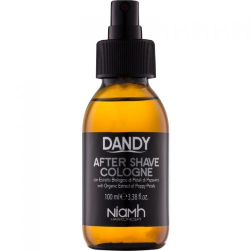 DANDY After Shave woda po goleniu 100 ml