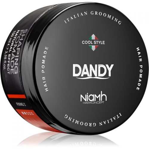 DANDY Shaping Pomade pomada modelująca do włosów 100 ml