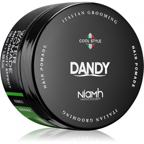DANDY Water Pomade Anti-Gravity Effect pomada do włosów z silnym utrwaleniem 100 ml