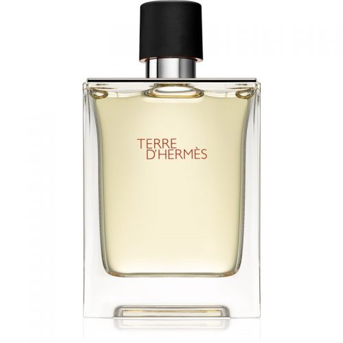 Hermès Terre d’Hermès woda toaletowa dla mężczyzn 100 ml