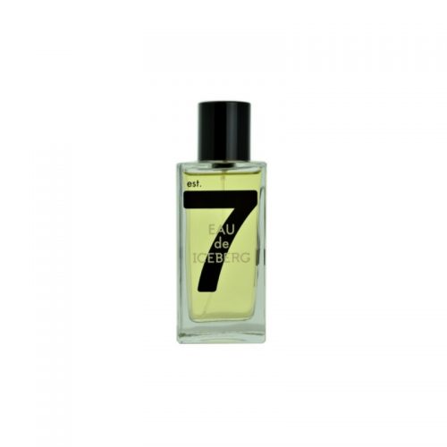 Iceberg Eau de Iceberg 74 Pour Homme woda toaletowa dla mężczyzn 100 ml