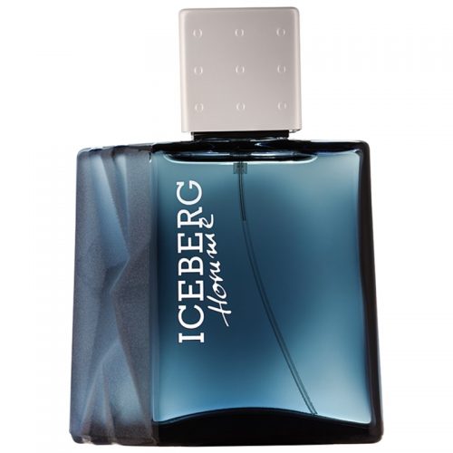 Iceberg Homme woda toaletowa dla mężczyzn 100 ml