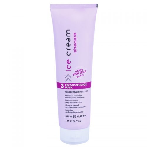 Inebrya Ice Cream Shecare intensywna maseczka pielęgnacyjna do włosów suchych, zniszczonych i po zabiegach chemicznych 300 ml