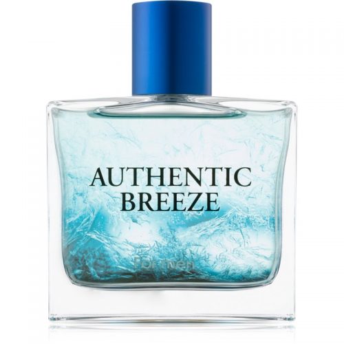 Jeanne Arthes Authentic Breeze woda toaletowa dla mężczyzn 100 ml