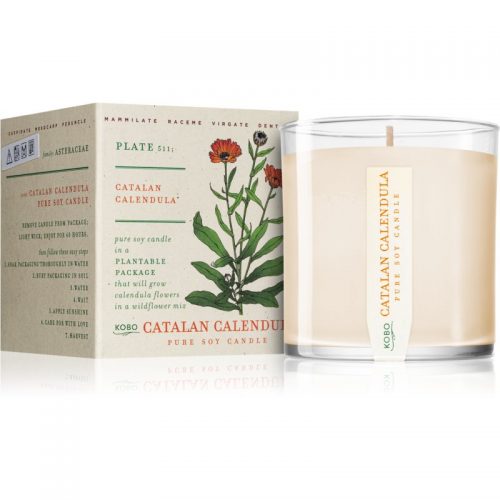 KOBO Plant The Box Catalan Calendula świeczka zapachowa 283 g