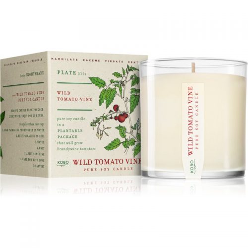 KOBO Plant The Box Wild Tomato Vine świeczka zapachowa 283 g