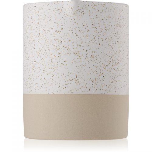 Paddywax Mesa Black Salt & Birch świeczka zapachowa 283 g