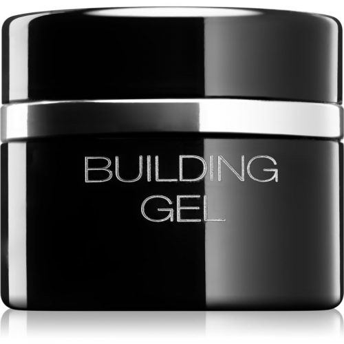 Pierre René Nails Hybrid zelowy lakier do paznokcji z UV / przy użyciu lampy LED 10 ml