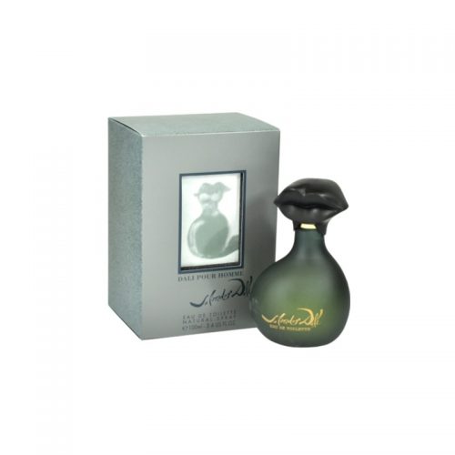 Salvador Dali Pour Homme woda toaletowa dla mężczyzn 100 ml