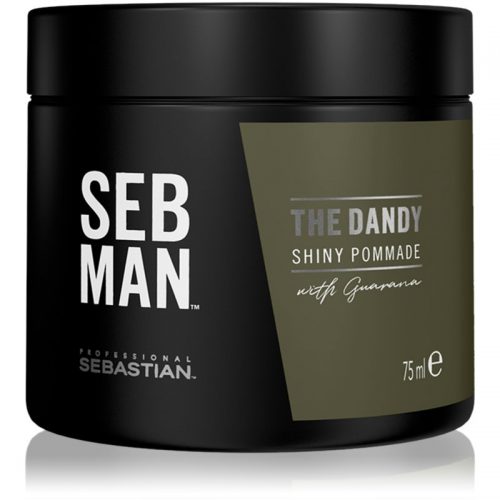 Sebastian Professional SEB MAN The Dandy pomada do włosów do naturalnego utrwalenia 75 ml