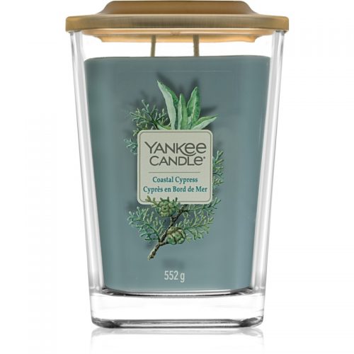 Yankee Candle Elevation Coastal Cypress świeczka zapachowa duża 552 g