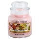 Paddywax Parks Maplewood + Moss świeczka zapachowa z drewnianym knotem 311 g