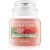 Yankee Candle Sun-Drenched Apricot Rose świeczka zapachowa Classic mała 104 g