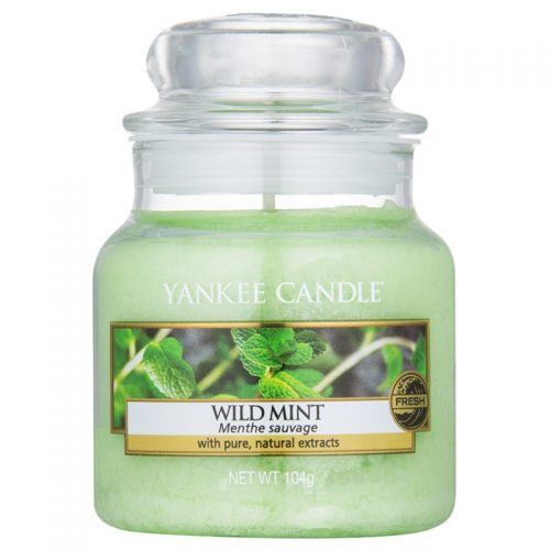 Yankee Candle Wild Mint świeczka zapachowa Classic mała 104 g